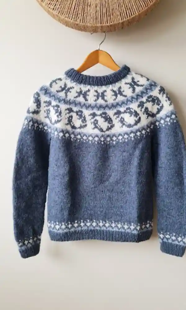 Pisces wool sweater