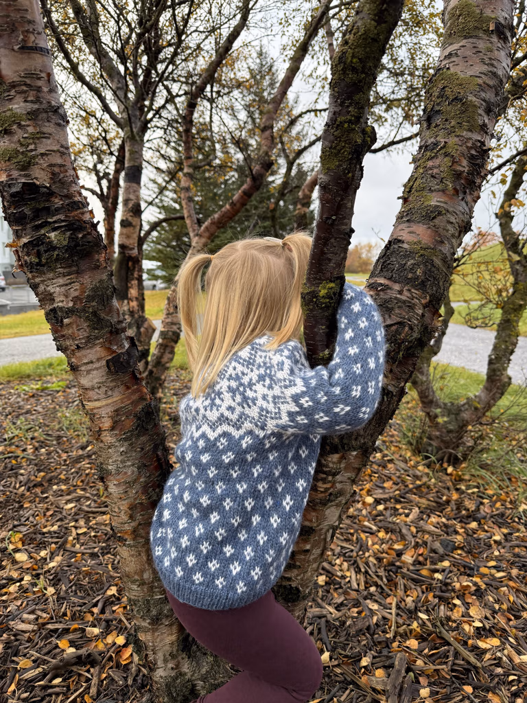 Ef ég nenni kids - Image 2