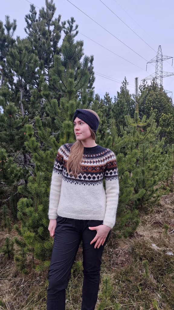 Hrauneyjar - Image 8